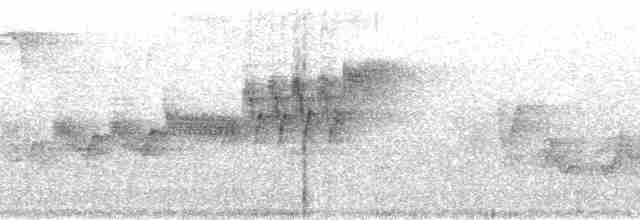 Cerulean Warbler - ML176283