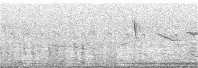 Spot-winged Pigeon - ML176315891