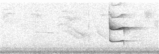Boz Kuşaklı Yerçavuşu - ML176350861
