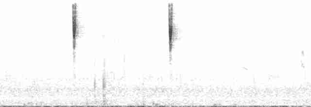 Turuncu Taçlı Ötleğen (celata) - ML176351