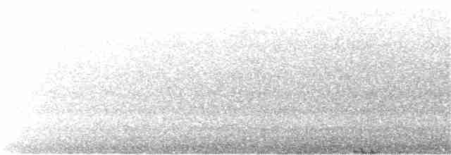 Black-eared Cuckoo - ML176372591