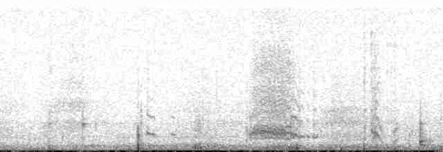 Берингийский песочник (tschuktschorum) - ML176399