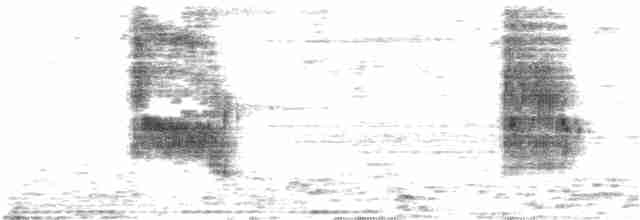 Loggerhead Shrike - ML176428051