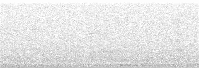 Медолюб-сережник великий - ML176437841