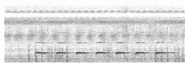 Chevêchette à tête grise - ML176630011