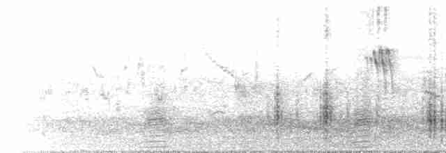 Great Reed Warbler - ML176631031