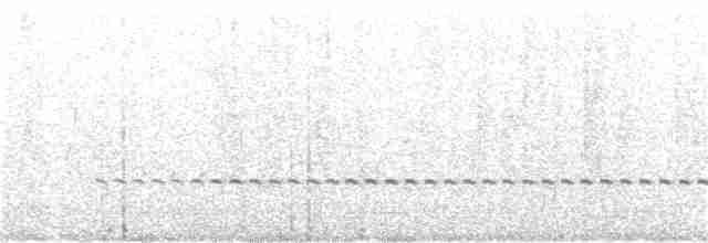 Benekli Notura Tinamusu - ML176652681