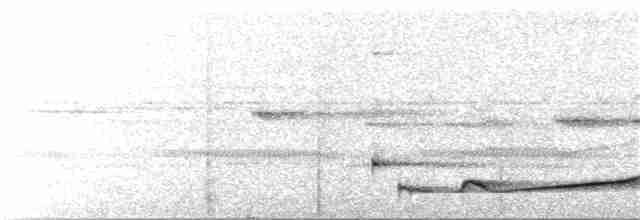 Silky-tailed Nightjar - ML176688391