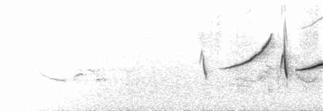 Вівсянка жовточерева - ML176710381