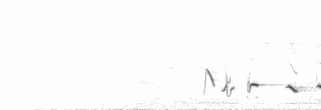 Кустарниковая славка-монашка - ML176720581