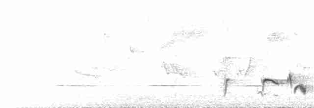 Кустарниковая славка-монашка - ML176720591