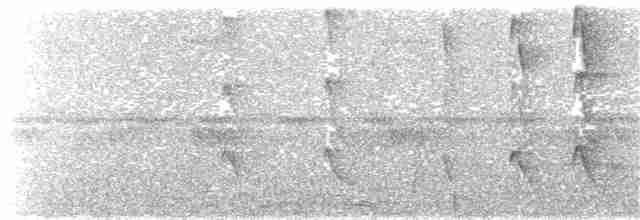 Белокрылый бекард - ML176727511
