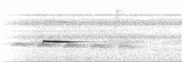 Troglodyte siffleur - ML176795751