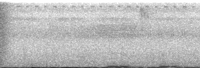 Кафрский рогатый ворон - ML176841