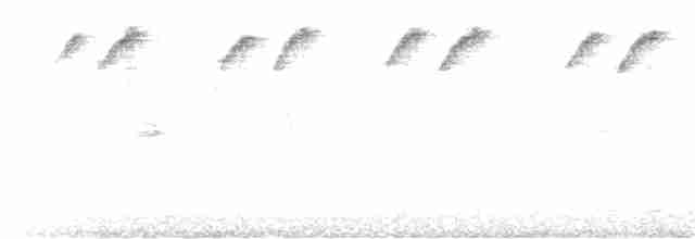 Fan-tailed Cuckoo - ML176849521