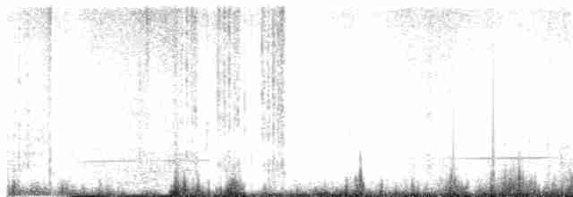 Ibis txoriandrea - ML176864181
