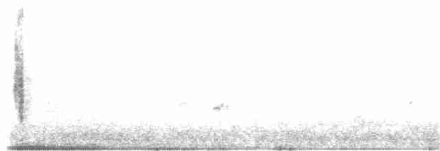 Black-capped Chickadee - ML176934351