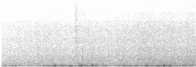 Geai à nuque blanche - ML176937351