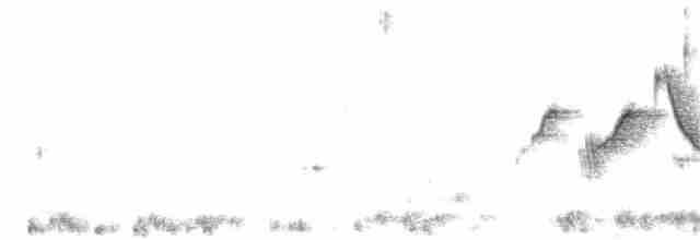 lazulispurv - ML176938131