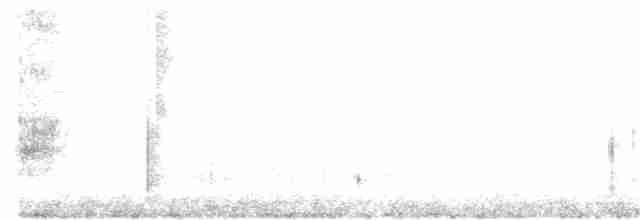 Тауї плямистий - ML176938141