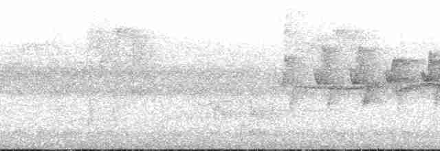 Gray-cheeked Warbler - ML176945