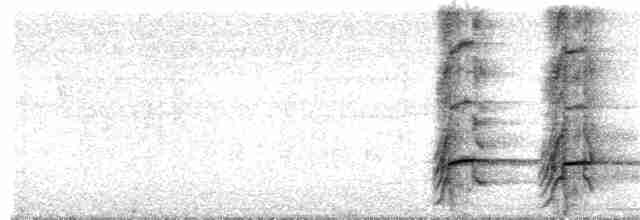 Белокурый дятел-гренадер - ML176955741