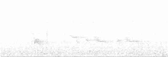 Челноклювый бентеви - ML176997891