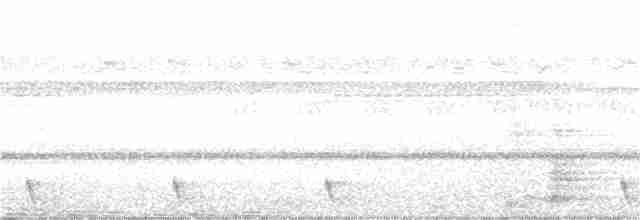Large-tailed Nightjar - ML177012451