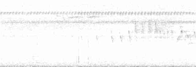 Braunscheitel-Brillenvogel (fuscifrons) - ML177024021
