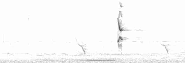 Bluish-gray Saltator - ML177096