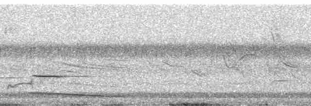 Striped Cuckoo - ML177104