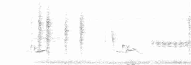 White-bellied Wren - ML177106081