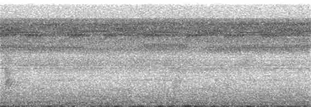 White-throated Tinamou - ML177122651