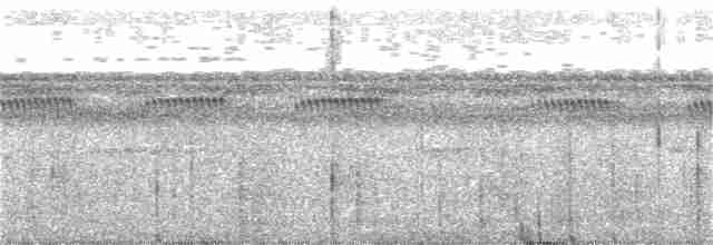 Rotspiegel-Ameisenvogel - ML177129181
