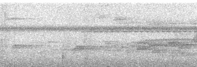 Pullu Çıtkuşu [marginatus grubu] - ML177170