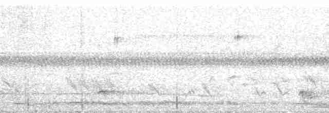 holoubek šupinkový - ML177187