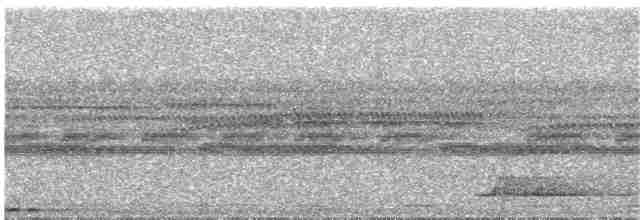 Black-capped Tinamou - ML177198581