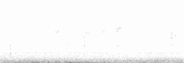 Mangrove Fantail - ML177274801