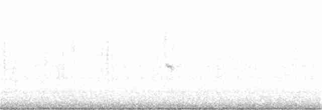 Мангровая веерохвостка - ML177275211