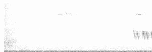 Oak/Juniper Titmouse (Plain Titmouse) - ML177306921