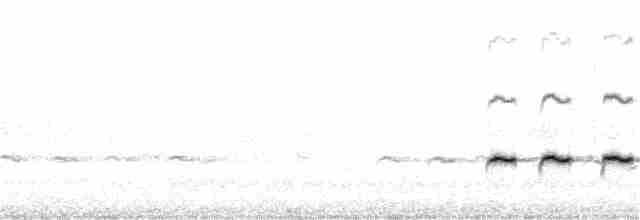 Желтогорлая манорина - ML177324061