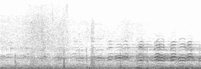 Белобрюхий орлан - ML177325501