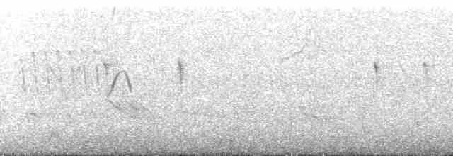 Пароарія жовтодзьоба - ML177361