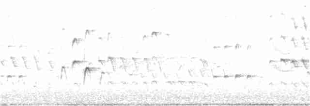 Kara Karınlı Islıkçı Ördek - ML177370031