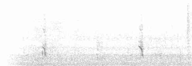 Сероголовый медосос - ML177394631