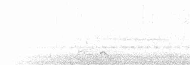 ハジロオーストラリアムシクイ - ML177397731