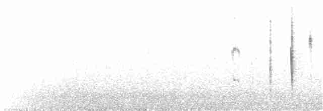 Мангровая веерохвостка - ML177398211