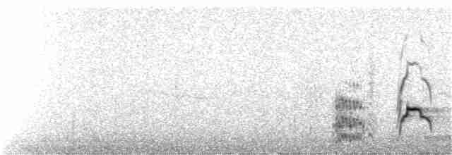 Длинноклювый кулик-сорока - ML177398461