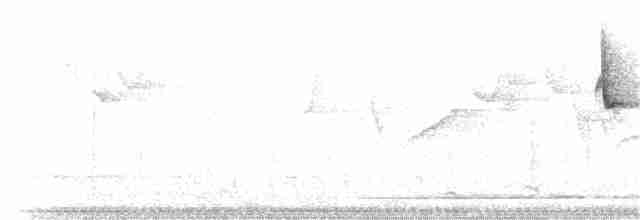 Gray-hooded Warbler - ML177399621