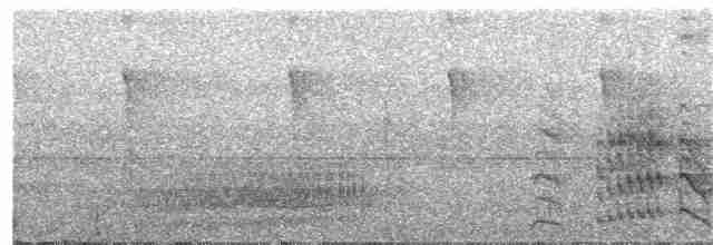 Kara Karınlı Sincap Guguğu - ML177433971